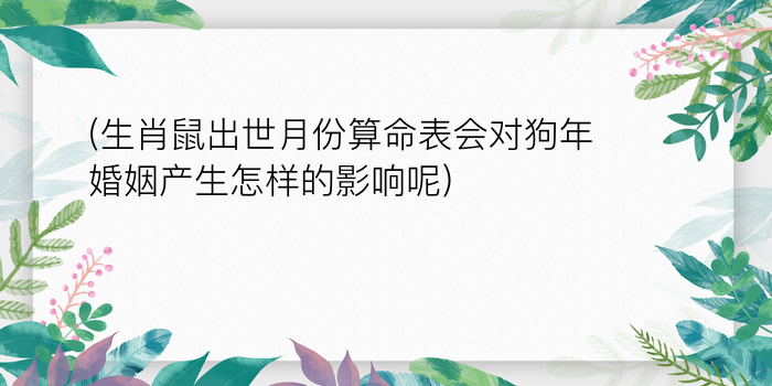 二零二算运网