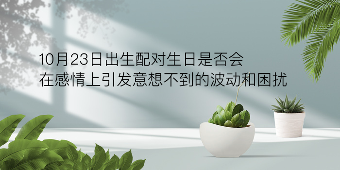 生肖配对牛虎合不合游戏截图