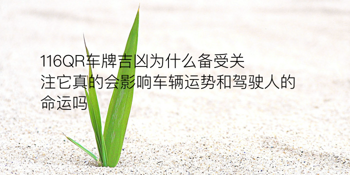 配对生日游戏截图