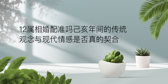 生晨八字起名游戏截图