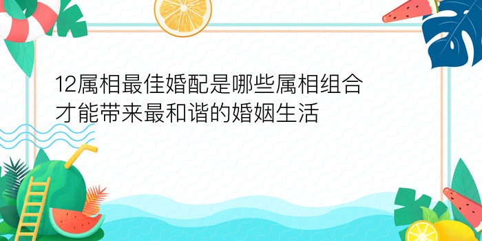 12属相最佳婚配是哪些属相组合才能带来最和谐的婚姻生活