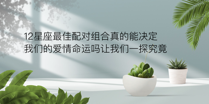 星座配对排行游戏截图