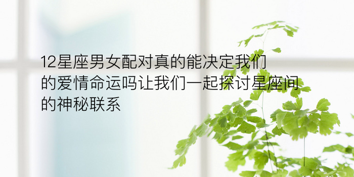 生日配对查询社保游戏截图