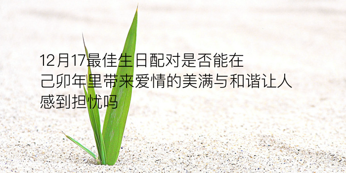 生肖配对查询算命游戏截图