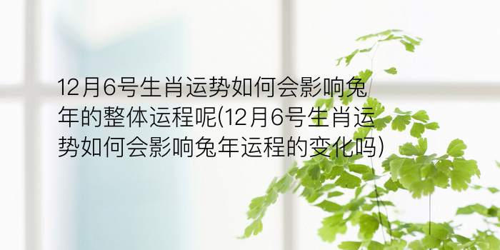 属兔今年犯太岁吗游戏截图