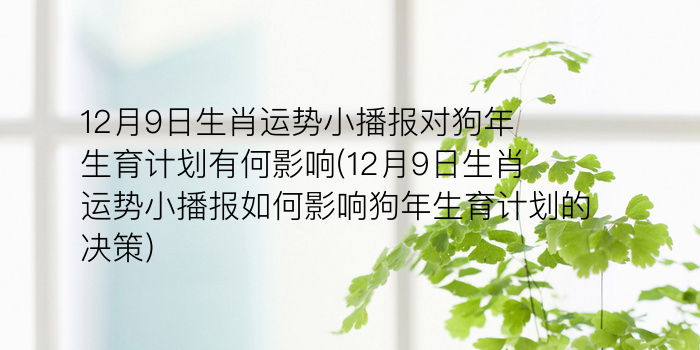 12月9日生肖运势小播报对狗年生育计划有何影响(12月9日生肖运势小播报如何影响狗年生育计划的决策)