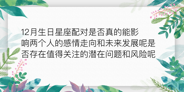 紫薇姓名配对游戏截图