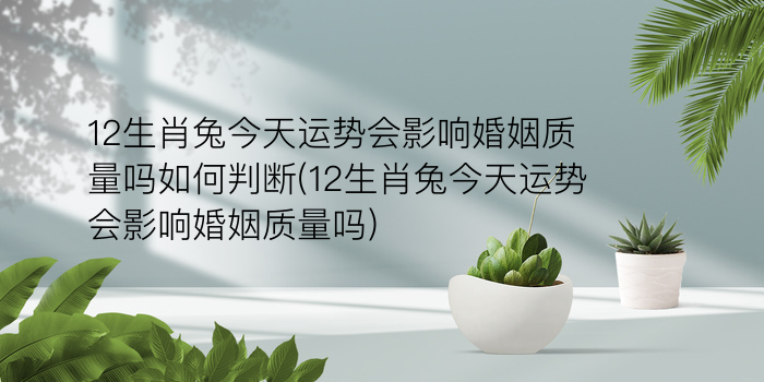 生肖鸡本命年运势游戏截图