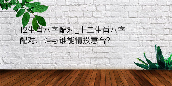 12生肖八字配对_十二生肖八字配对，谁与谁能情投意合？