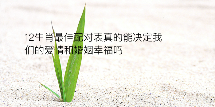 车牌吉凶测号游戏截图