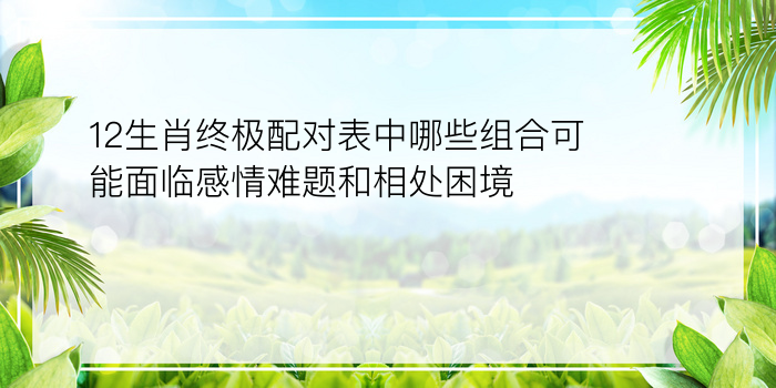 12生肖终极配对表中哪些组合可能面临感情难题和相处困境