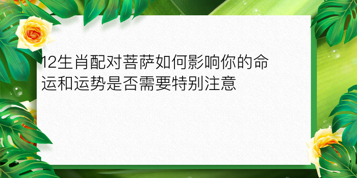 12生肖配对菩萨如何影响你的命运和运势是否需要特别注意