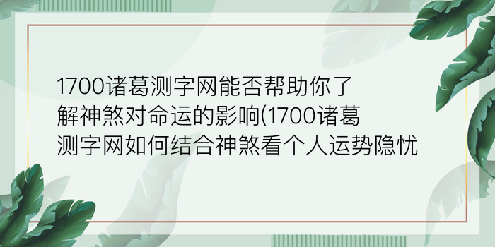 二零二算运网