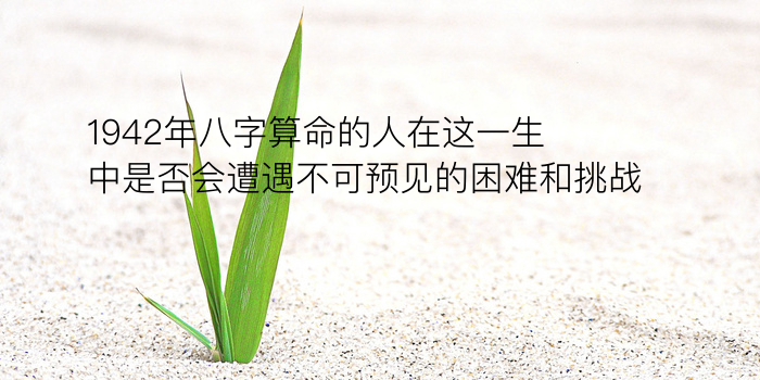 属相八字运程游戏截图