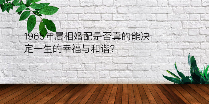 1965年属相婚配是否真的能决定一生的幸福与和谐？