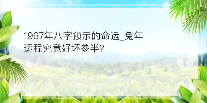 1967年八字预示的命运_兔年运程究竟好坏参半？