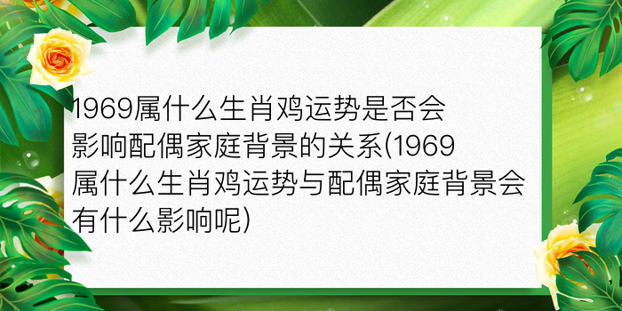 兔子的本命佛游戏截图