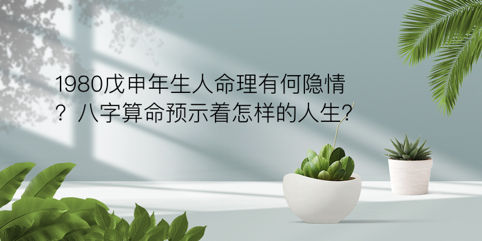 称骨算命女命版游戏截图