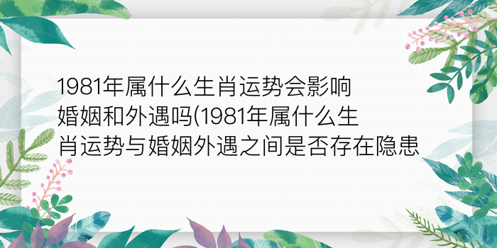 二零二算运网