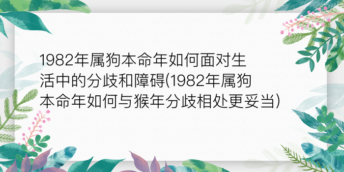 二零二算运网