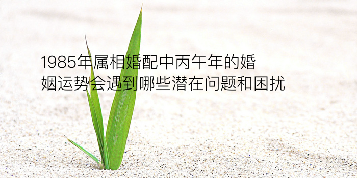 配对姓名游戏截图