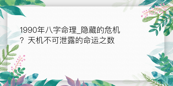 二零二算运网