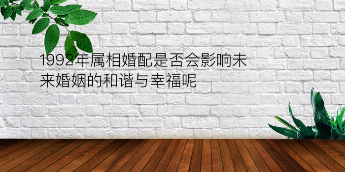 1992年属相婚配是否会影响未来婚姻的和谐与幸福呢