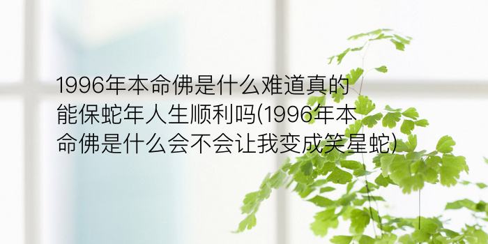 生肖鸡2019年运势游戏截图