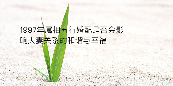 佛滔算命姓名配对游戏截图