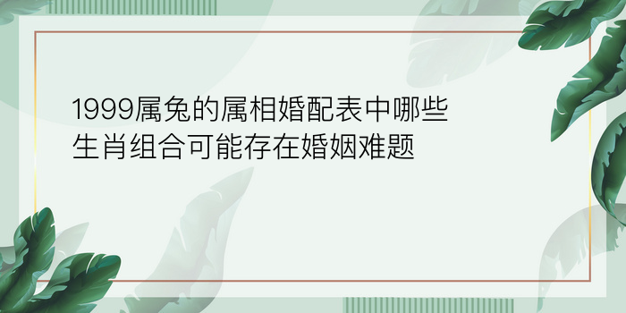 1999属兔的属相婚配表中哪些生肖组合可能存在婚姻难题