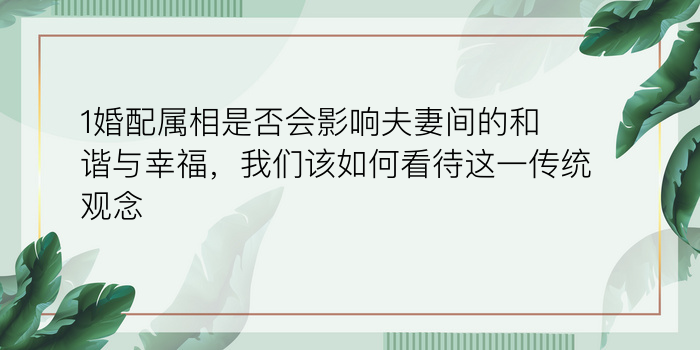 1婚配属相是否会影响夫妻间的和谐与幸福，我们该如何看待这一传统观念