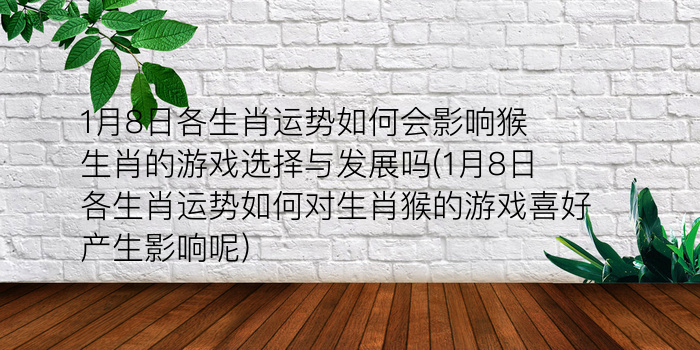 今年犯太岁是什么生肖游戏截图