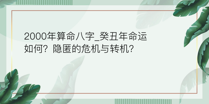 两人八字算命婚姻配对游戏截图