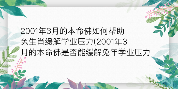 虎的本命年游戏截图