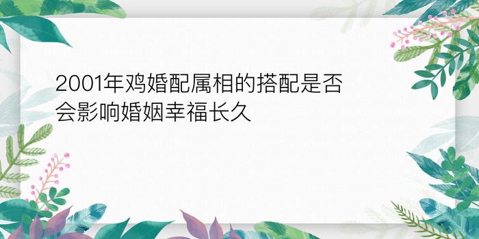 生日配对的游戏截图