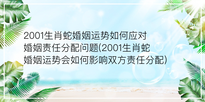 24岁本命年游戏截图