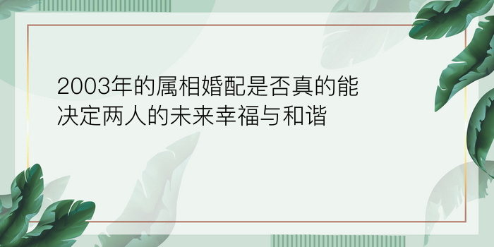 2003年的属相婚配是否真的能决定两人的未来幸福与和谐