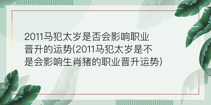 二零二算运网