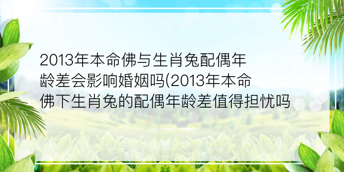 二零二算运网