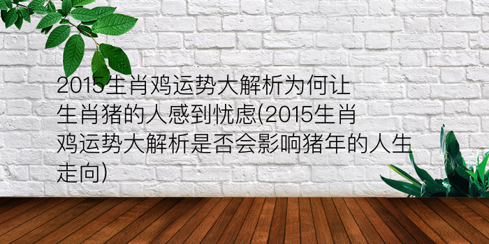 2015生肖鸡运势大解析为何让生肖猪的人感到忧虑(2015生肖鸡运势大解析是否会影响猪年的人生走向)