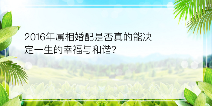 2016年属相婚配是否真的能决定一生的幸福与和谐？