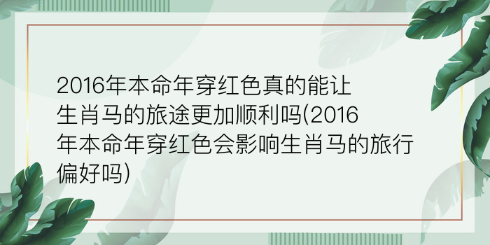 2016年本命年穿红色真的能让生肖马的旅途更加顺利吗(2016年本命年穿红色会影响生肖马的旅行偏好吗)