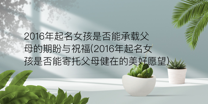 周易取名网站游戏截图