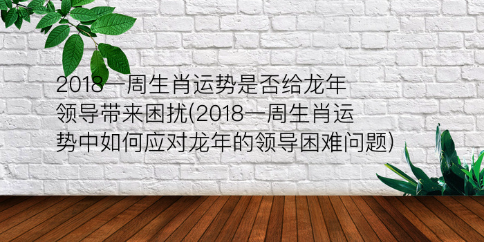 今年什么生肖犯太岁游戏截图