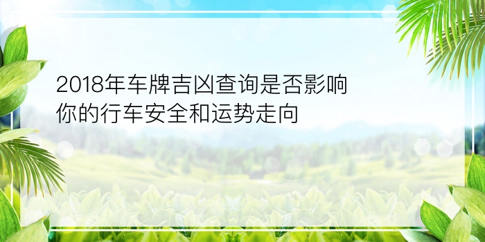 2018年车牌吉凶查询是否影响你的行车安全和运势走向