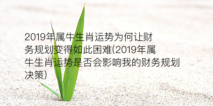 2019年属牛生肖运势为何让财务规划变得如此困难(2019年属牛生肖运势是否会影响我的财务规划决策)