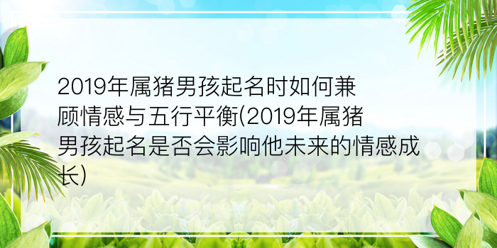 2019年属猪男孩起名时如何兼顾情感与五行平衡(2019年属猪男孩起名是否会影响他未来的情感成长)