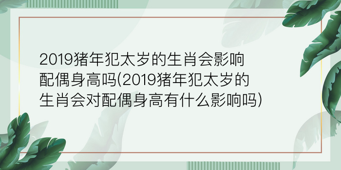 本命年戴游戏截图