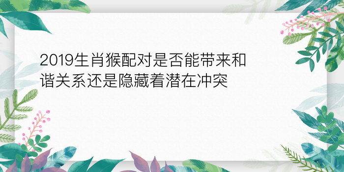 生日配对数字游戏截图