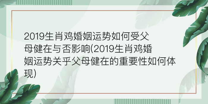 二零二算运网